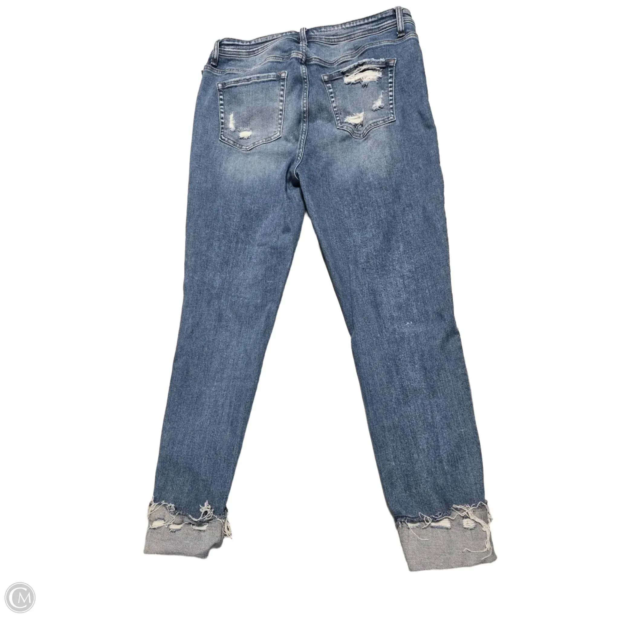 Jeans Skinny By Flying Monkey In Blue Denim. Size: 14