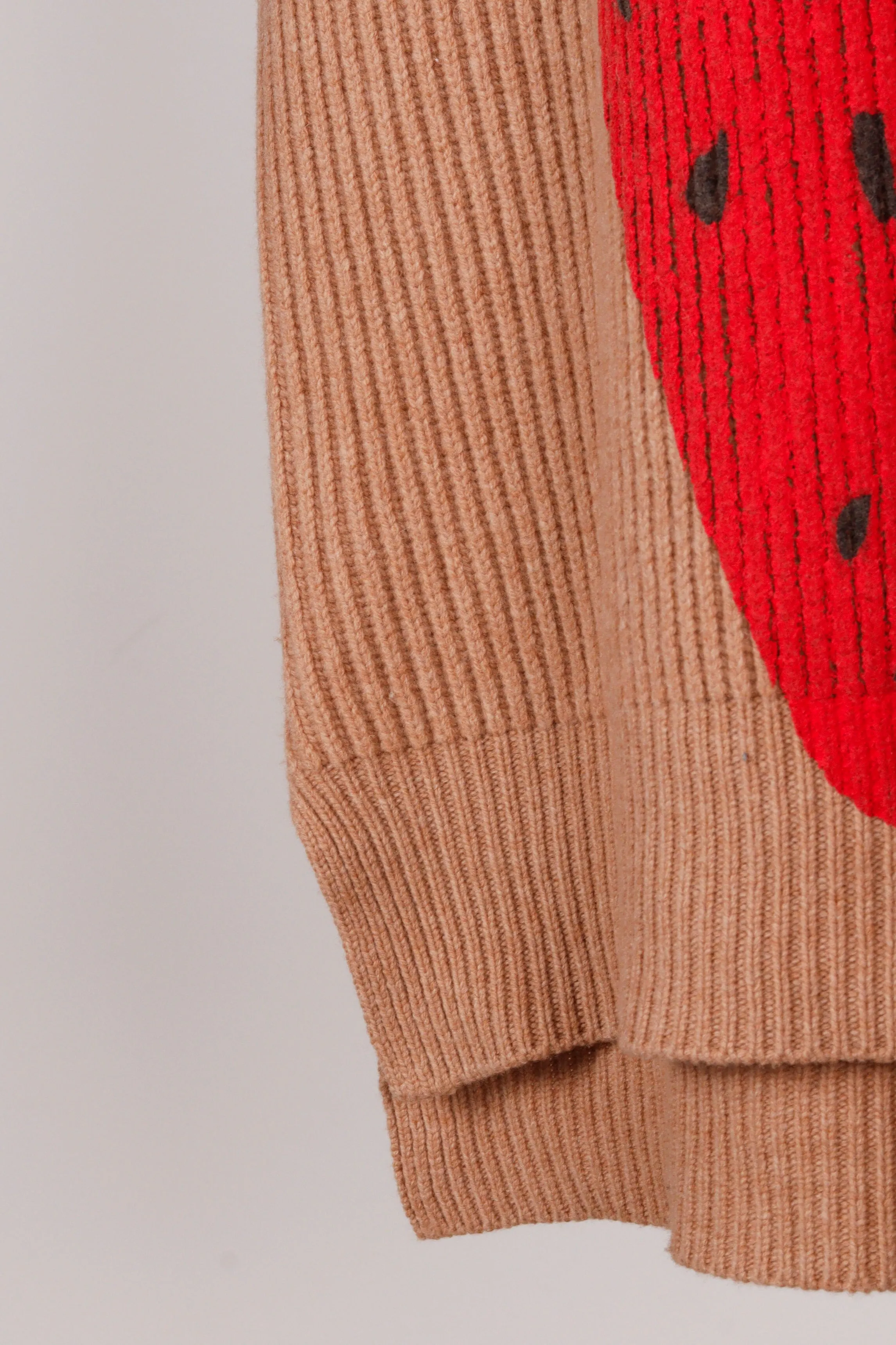 JW Anderson FW21 'Strawberry' Intarsia Knit V-Neck Vest (2021)