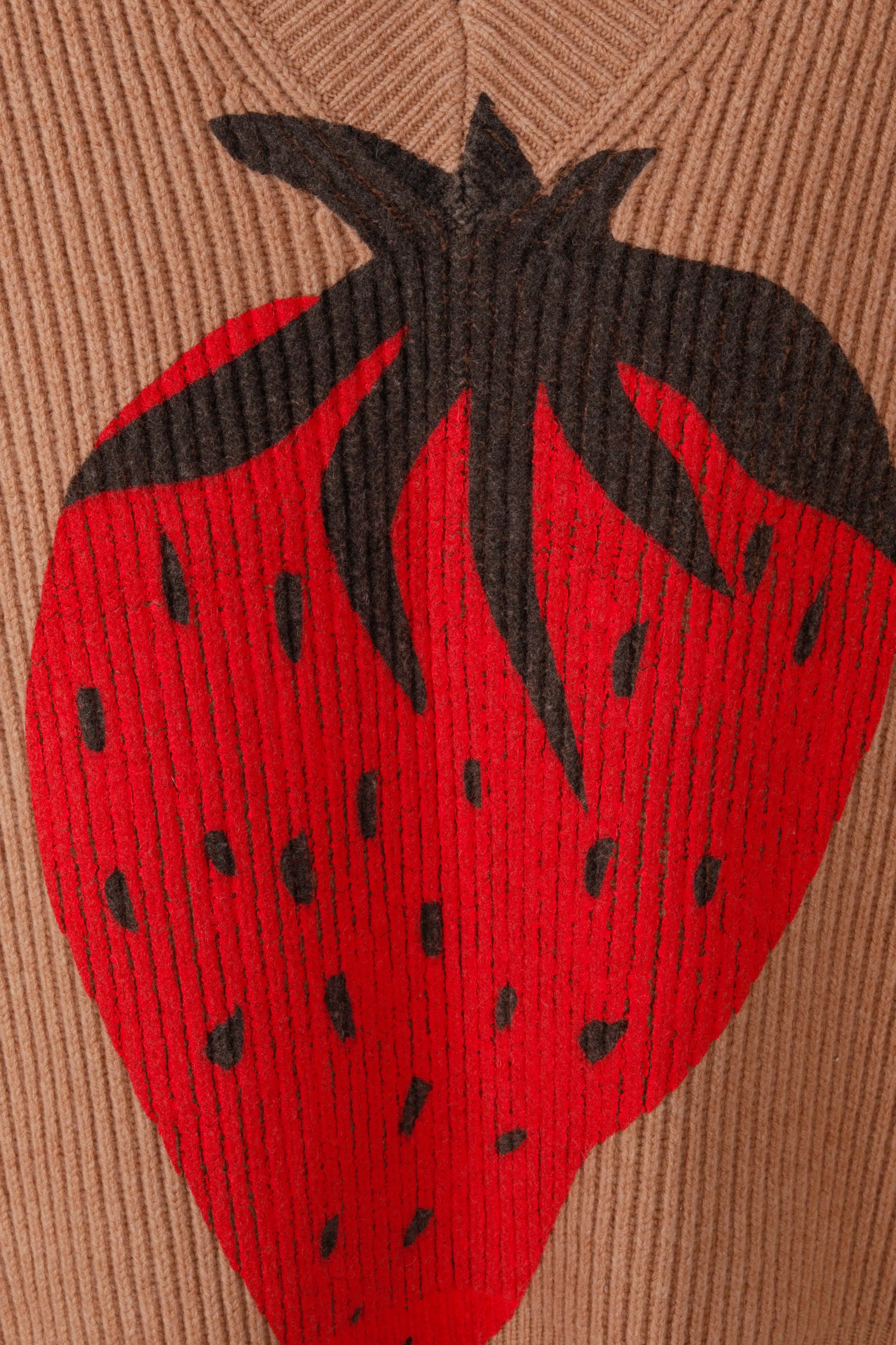 JW Anderson FW21 'Strawberry' Intarsia Knit V-Neck Vest (2021)