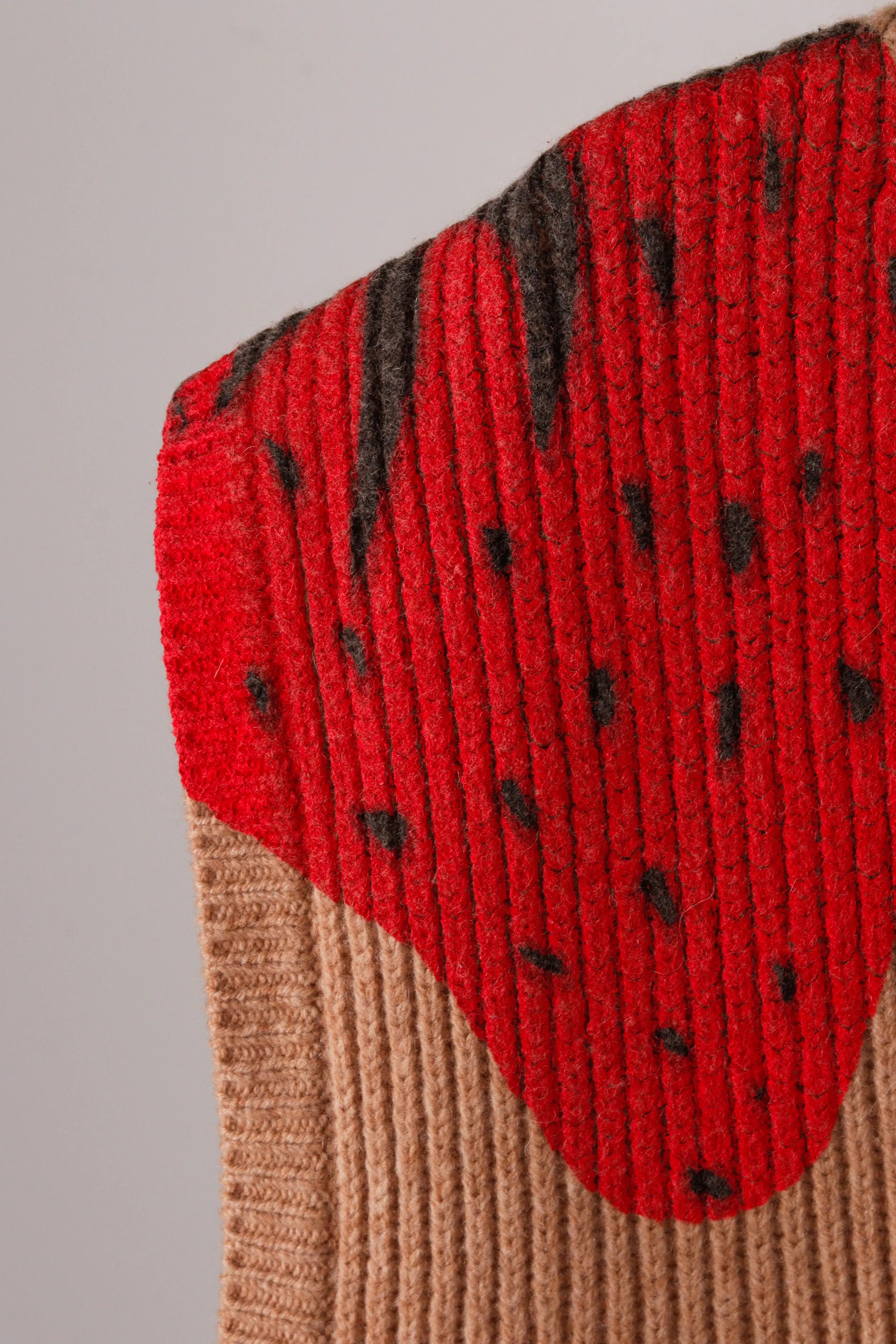 JW Anderson FW21 'Strawberry' Intarsia Knit V-Neck Vest (2021)