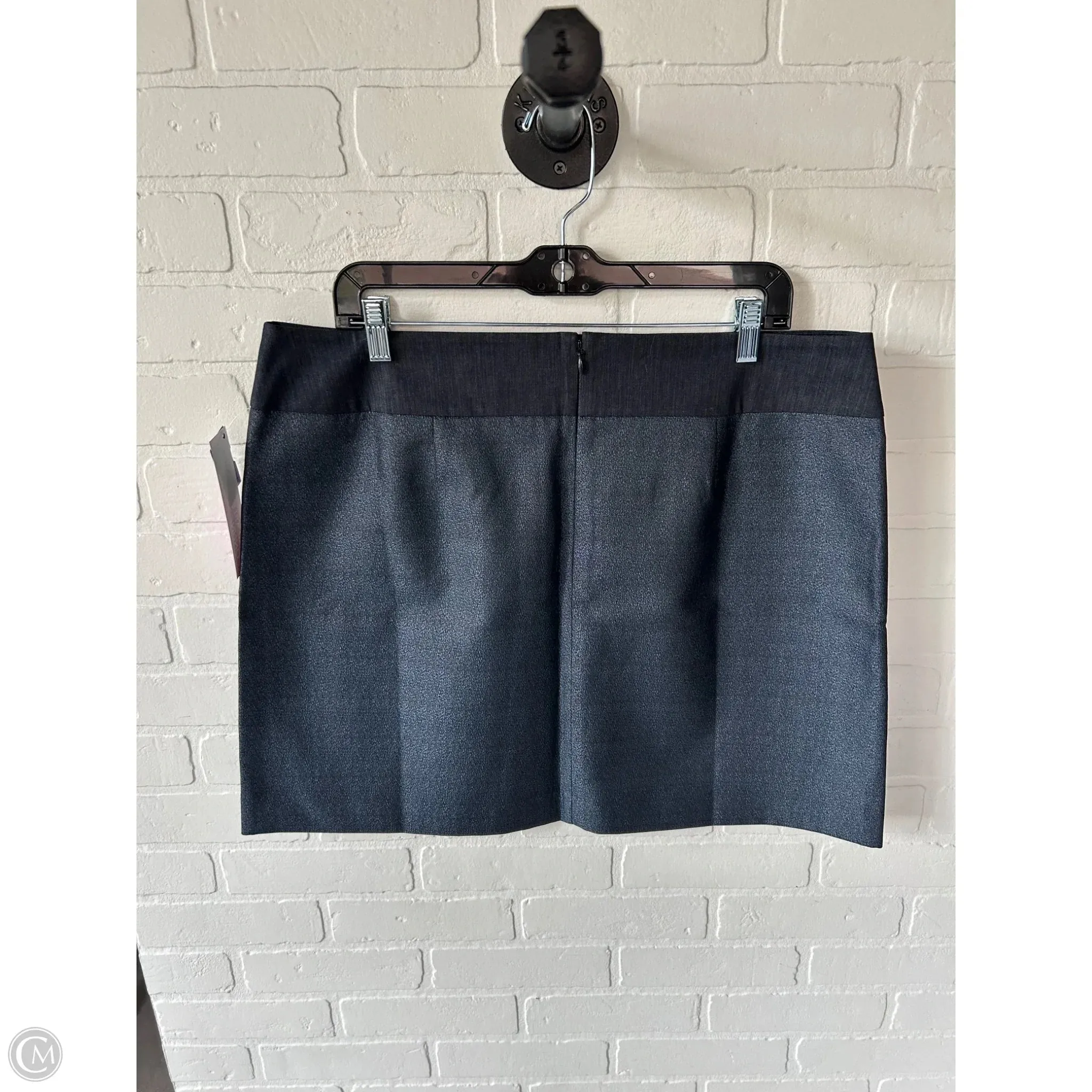 Skirt Mini & Short By Loft In Blue. Size: 16