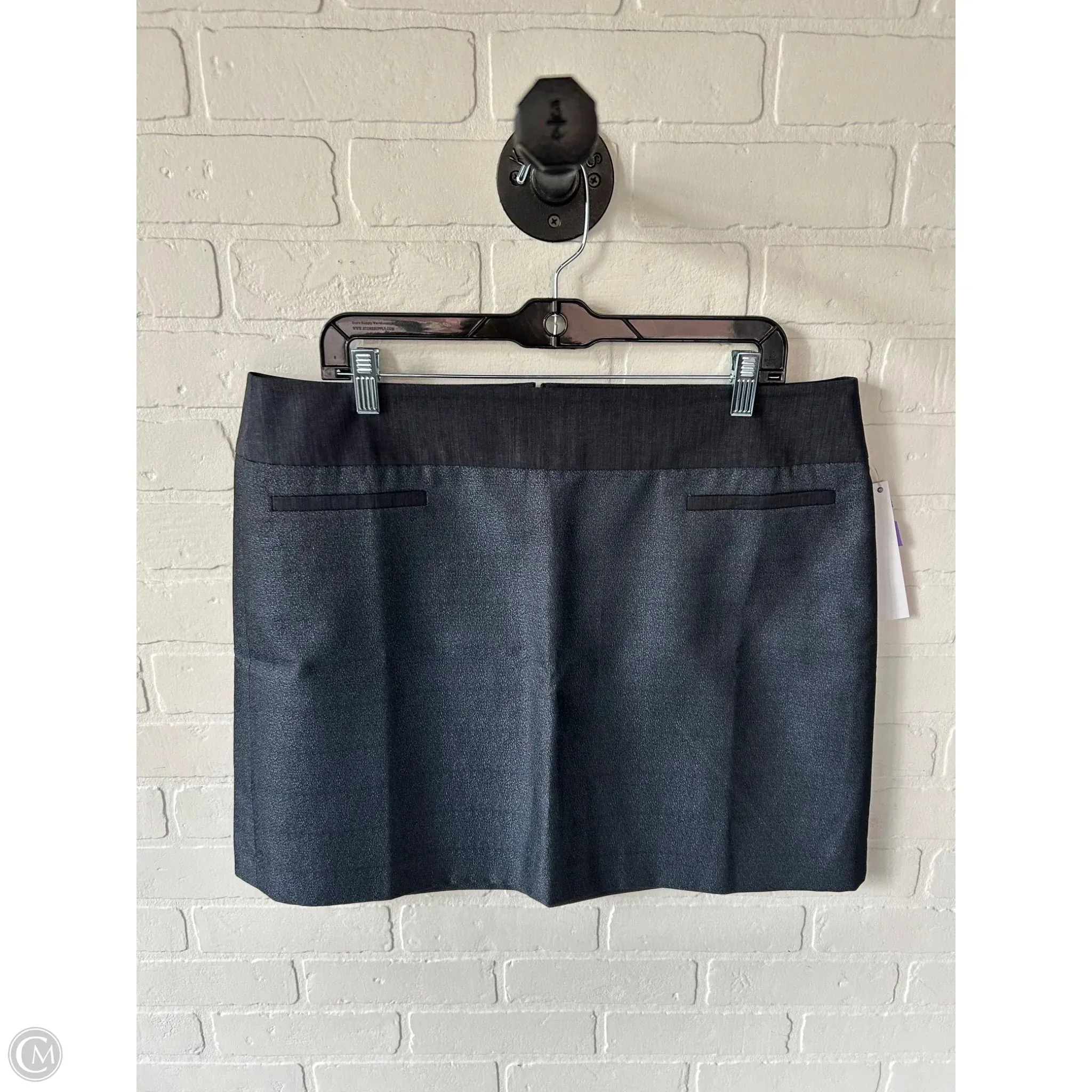 Skirt Mini & Short By Loft In Blue. Size: 16